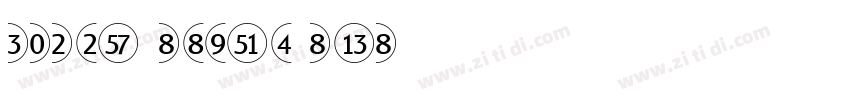 number shield sans字体转换